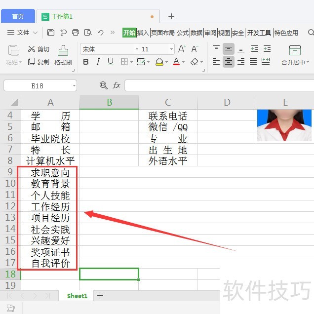 WPS表格制作个人简历教程