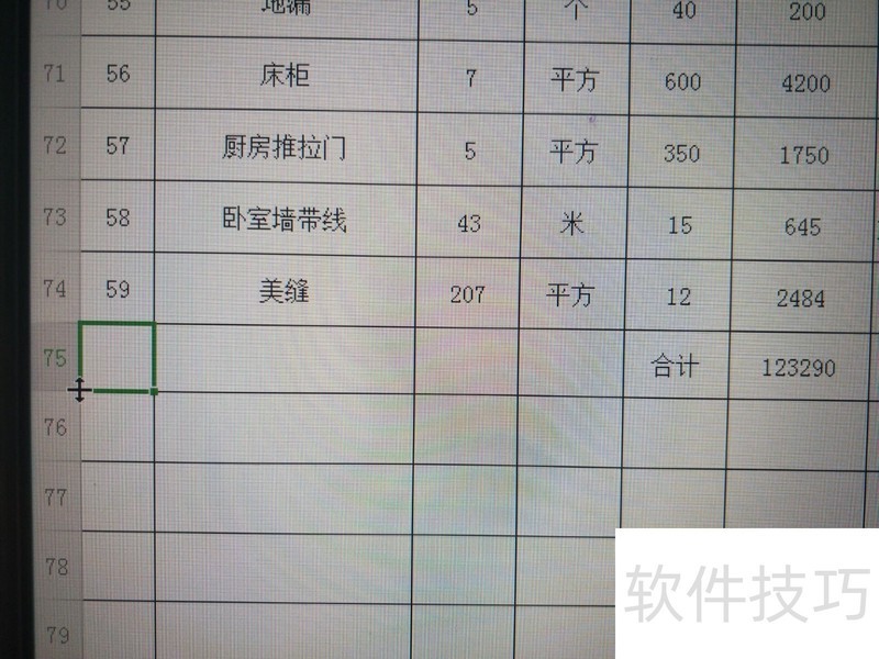 wps预算表格怎么样变大格子