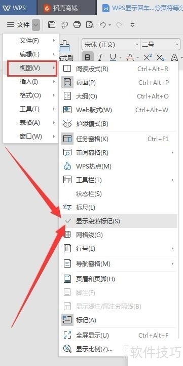 WPS怎样显示回车符、分页符等分隔符
